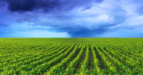 Weekend/Special Farm Weather Outlook .